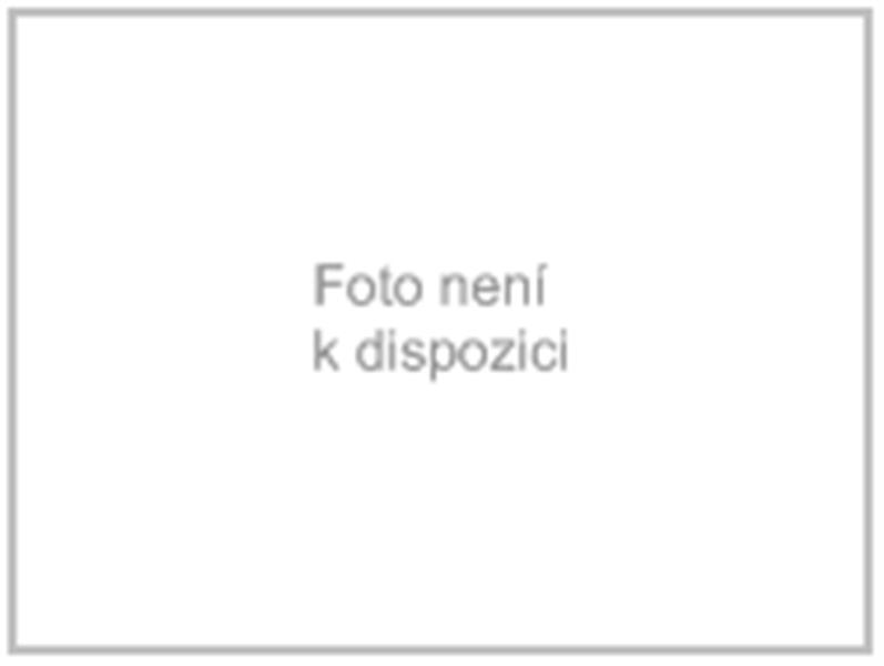 Pozemek - Dolní Žandov